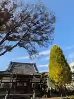 瑞円寺(東京都)