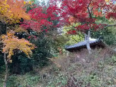 直指庵(京都府)
