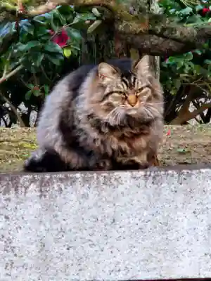 成田山新勝寺(千葉県)