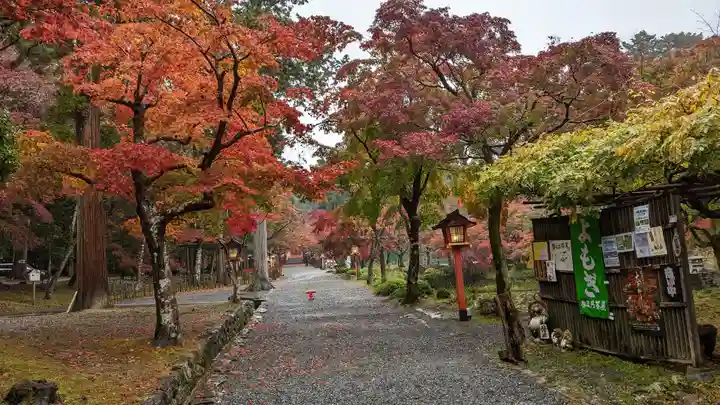 大原野神社(京都府)