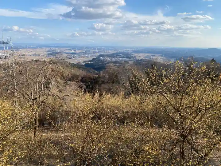 羽黒山神社の{uncategorized: "未分類", other: "その他", undefined: "問題あり", building: "その他建物", grave: "お墓", sacred_gate: "鳥居", guardian: "狛犬", statue: "像", buddha: "仏像", history: "歴史", nature: "自然", garden: "庭園", animal: "動物", pagoda: "塔", temizu: "手水舎", mountain_gate: "山門・神門", sanctuary: "本殿・本堂", subordinate: "末社・摂社", art: "芸術", scenery: "景色", jizo: "地蔵", ema: "絵馬", goshuin: "御朱印", omikuji: "おみくじ", items: "授与品その他", amulet: "お守り", goshuincho: "御朱印帳", eats: "食事", festival: "お祭り", votive_dance: "神楽", shichigosan: "七五三参", wedding: "結婚式", experience: "体験その他", initially: "初詣", around: "周辺", anti_infection: "感染症対策"}