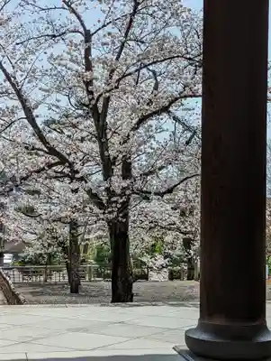 くろ谷 金戒光明寺(京都府)