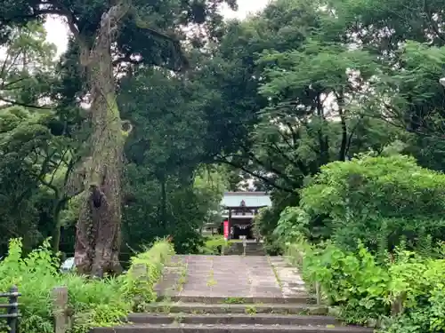 都萬神社のその他建物