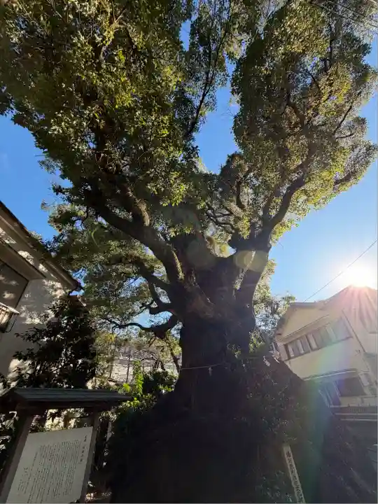 五所神社(神奈川県)