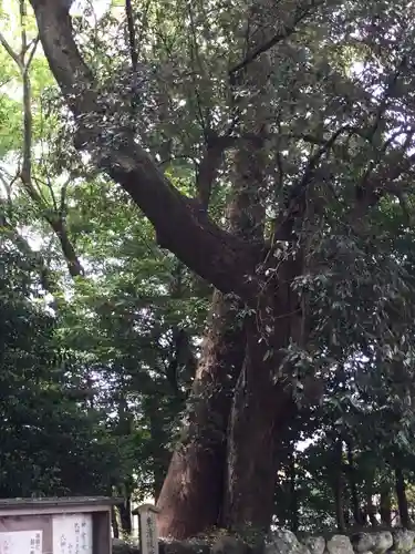 志等美神社(豊受大神宮摂社)の自然