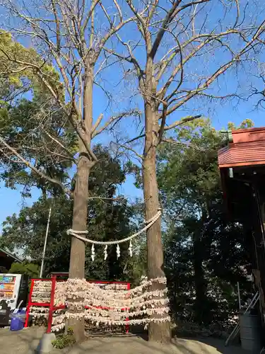 多摩川浅間神社の自然