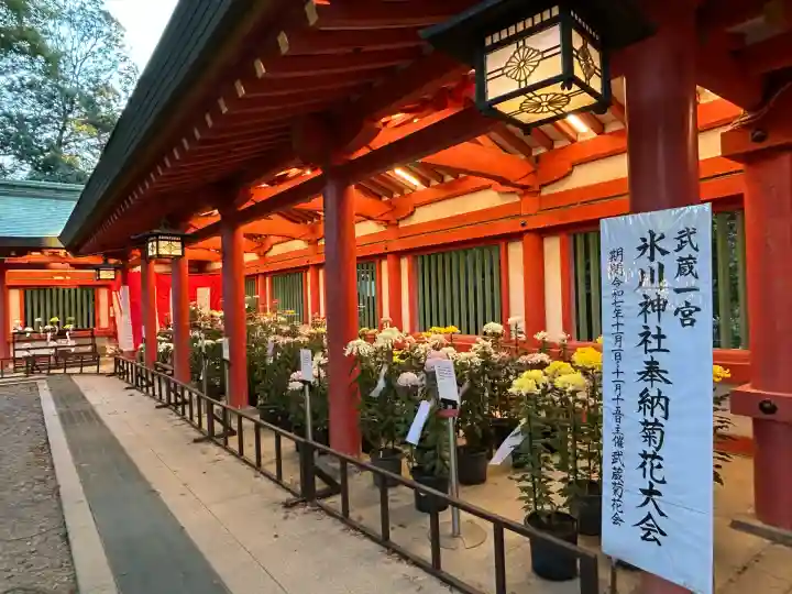 武蔵一宮氷川神社(埼玉県)
