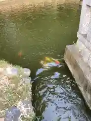 味美白山神社の庭園