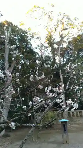 大洗磯前神社の庭園