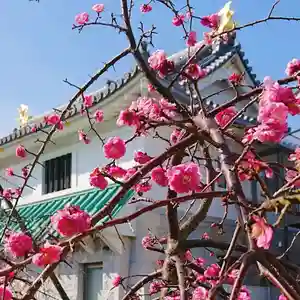 寿量山 速成寺の自然(2021年03月07日(日) 15時15分26秒投稿)