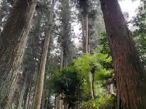 大宮温泉神社(栃木県)(2022年10月08日(土) 08時13分56秒投稿)