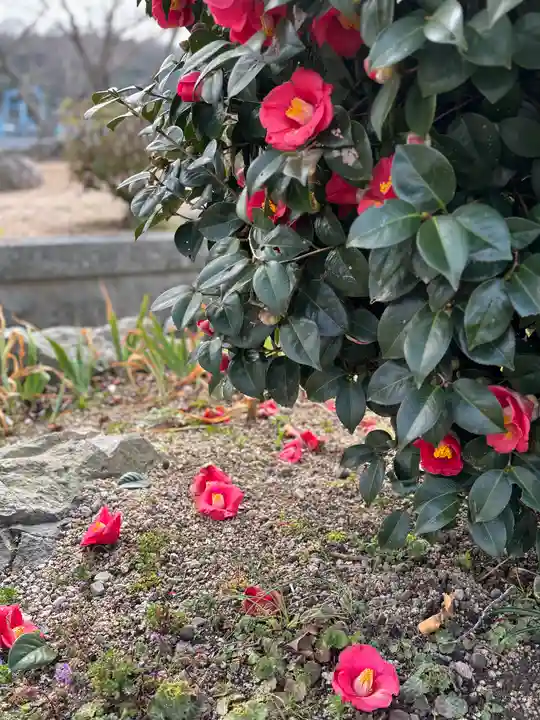 下太田廃寺塔跡(兵庫県)