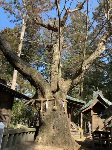 穂高神社本宮(長野県)