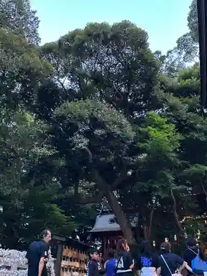 大甕神社(茨城県)