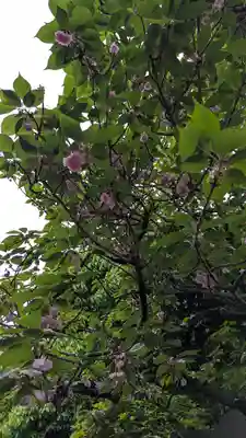 宝蔵寺(京都府)