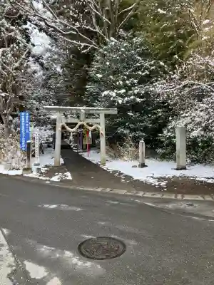 下野 星宮神社の{uncategorized: "未分類", other: "その他", undefined: "問題あり", building: "その他建物", grave: "お墓", sacred_gate: "鳥居", guardian: "狛犬", statue: "像", buddha: "仏像", history: "歴史", nature: "自然", garden: "庭園", animal: "動物", pagoda: "塔", temizu: "手水舎", mountain_gate: "山門・神門", sanctuary: "本殿・本堂", subordinate: "末社・摂社", art: "芸術", scenery: "景色", jizo: "地蔵", ema: "絵馬", goshuin: "御朱印", omikuji: "おみくじ", items: "授与品その他", amulet: "お守り", goshuincho: "御朱印帳", eats: "食事", festival: "お祭り", votive_dance: "神楽", shichigosan: "七五三参", wedding: "結婚式", experience: "体験その他", initially: "初詣", around: "周辺", anti_infection: "感染症対策"}