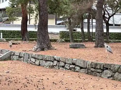 相国寺（相国承天禅寺）(京都府)