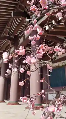 東長寺のその他建物