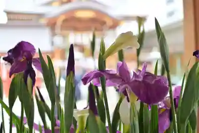 水天宮(東京都)