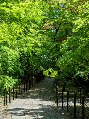 光明寺（粟生光明寺）(京都府)