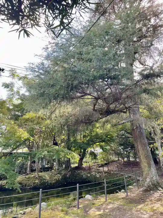 館山神社(千葉県)