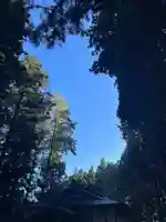 大宮温泉神社(栃木県)