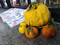 福井神社(福井県)