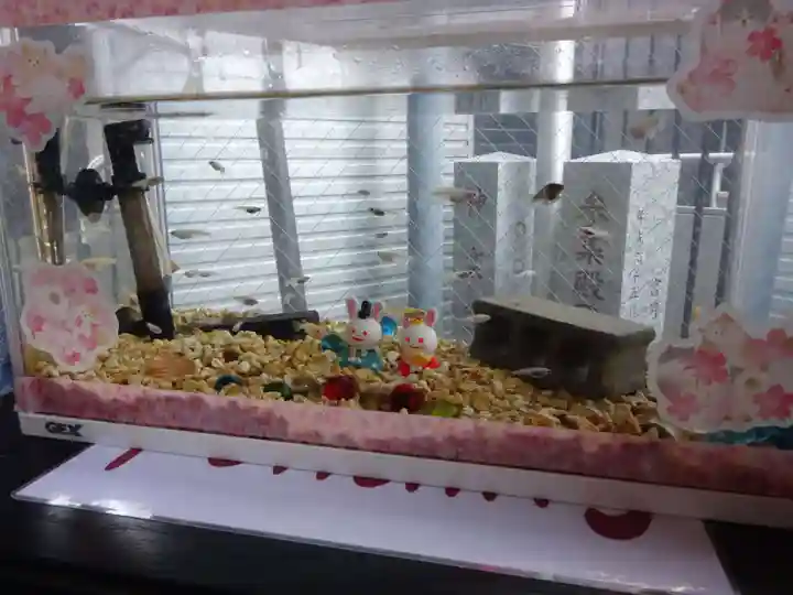 菊名神社の動物