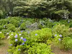 大宝八幡宮の庭園