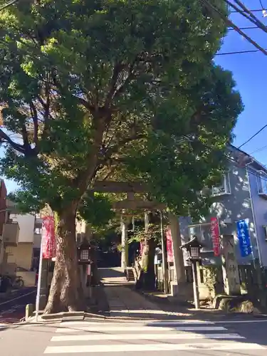 中目黒八幡神社の自然