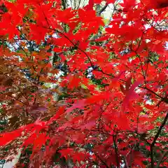 豊景神社の自然