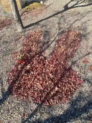 京都乃木神社(京都府)