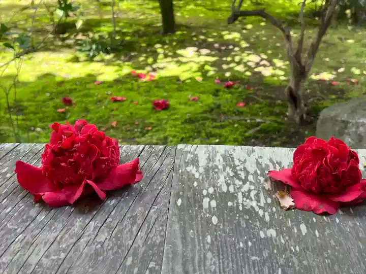 法金剛院(京都府)