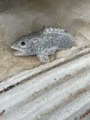 綱敷天満宮の狛犬