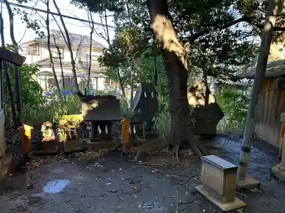 川越氷川神社(埼玉県)