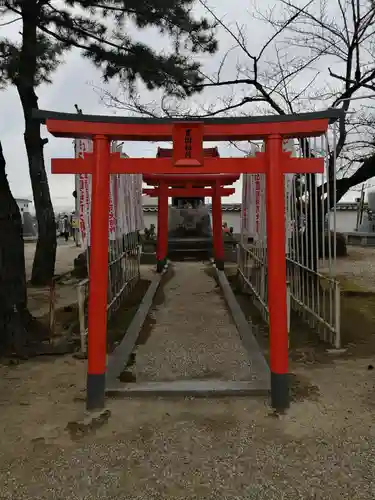 大樹寺（松安院大樹寺）の鳥居