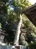若一王子神社(静岡県)