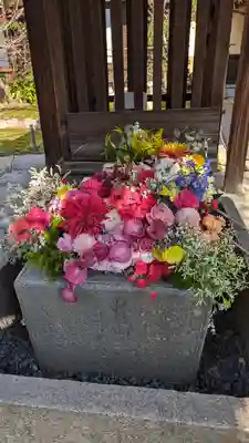 勝林寺(京都府)