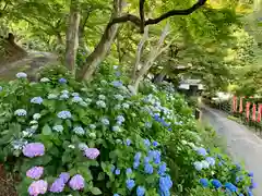 普門寺(切り絵御朱印発祥の寺)(愛知県)