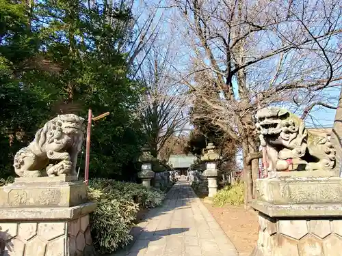 神炊館神社 ⁂奥州須賀川総鎮守⁂の狛犬