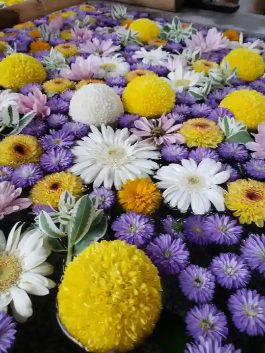 高円寺氷川神社(東京都)