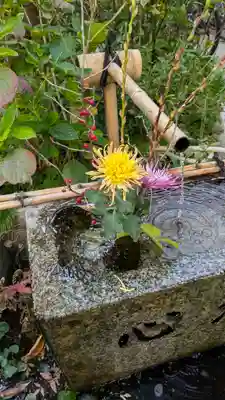 宝蔵寺(京都府)