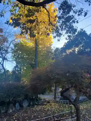上之村神社の自然