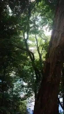 龍宮之宮の景色