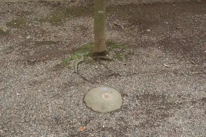 鹿島神宮(茨城県)