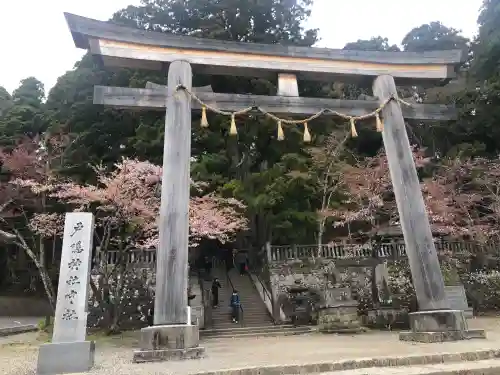 戸隠神社中社の{uncategorized: "未分類", other: "その他", undefined: "問題あり", building: "その他建物", grave: "お墓", sacred_gate: "鳥居", guardian: "狛犬", statue: "像", buddha: "仏像", history: "歴史", nature: "自然", garden: "庭園", animal: "動物", pagoda: "塔", temizu: "手水舎", mountain_gate: "山門・神門", sanctuary: "本殿・本堂", subordinate: "末社・摂社", art: "芸術", scenery: "景色", jizo: "地蔵", ema: "絵馬", goshuin: "御朱印", omikuji: "おみくじ", items: "授与品その他", amulet: "お守り", goshuincho: "御朱印帳", eats: "食事", festival: "お祭り", votive_dance: "神楽", shichigosan: "七五三参", wedding: "結婚式", experience: "体験その他", initially: "初詣", around: "周辺", anti_infection: "感染症対策"}