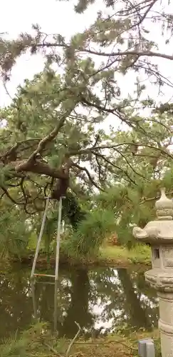 鶴嶺八幡宮の庭園