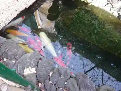 吉原弁財天本宮（吉原神社奥宮）(東京都)