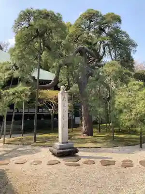 東漸寺(千葉県)