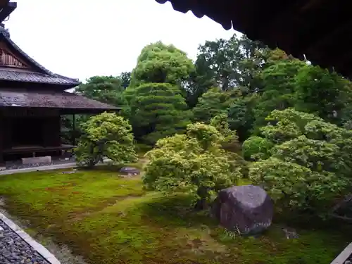 聖護院門跡の庭園